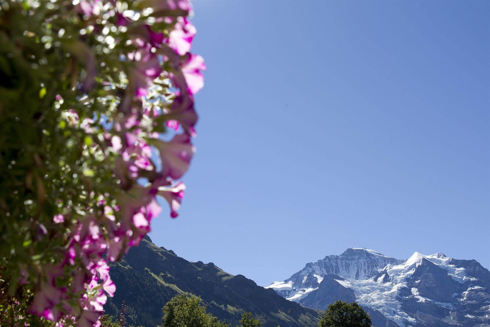 Chalet Miravalle Villa Wengen Exteriör bild